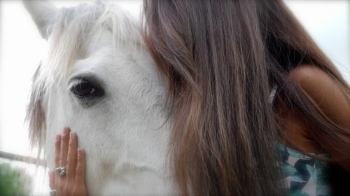 3 questions à… Association Co&xister